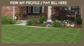 Lawn