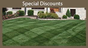 special discounts